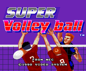 Super Volleyball (USA) Screenshot